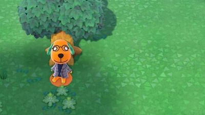 Teddy Bear thumbnail