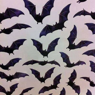 Pucca Honney thumbnail