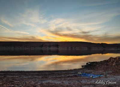 ashleyopium thumbnail