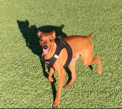 missterious_miss thumbnail