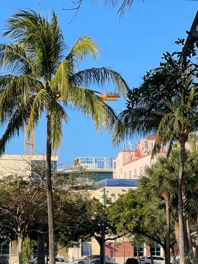 orlandolopez2005 thumbnail