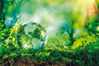 haleighw246 thumbnail