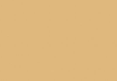 ontheflipside thumbnail