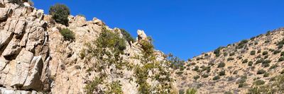 jayuncutbeef thumbnail