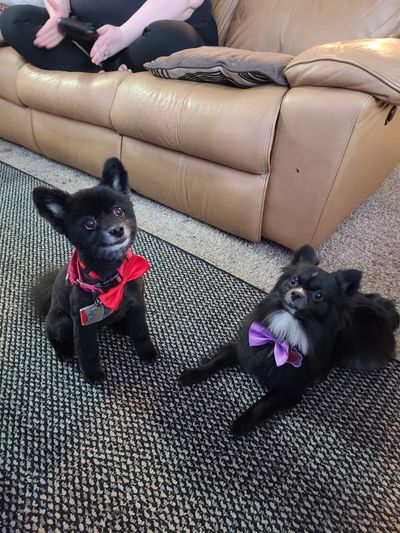 u134400569 thumbnail