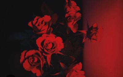 notyourgirl666 thumbnail