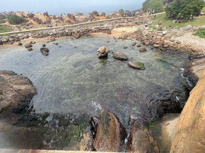 wildebeest thumbnail