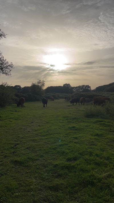 uneedmarianow thumbnail