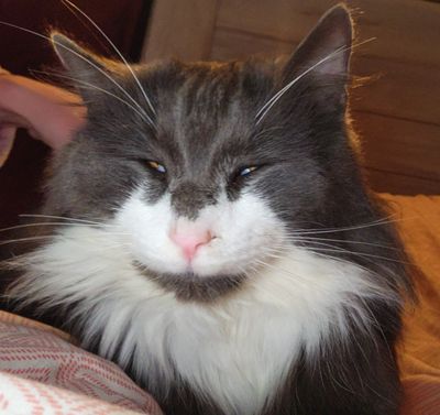 queenbee0308 thumbnail