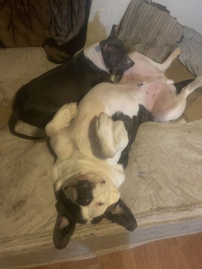 i.heart.tittys thumbnail