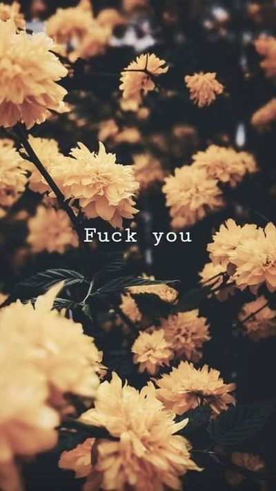 feezyfee101 thumbnail