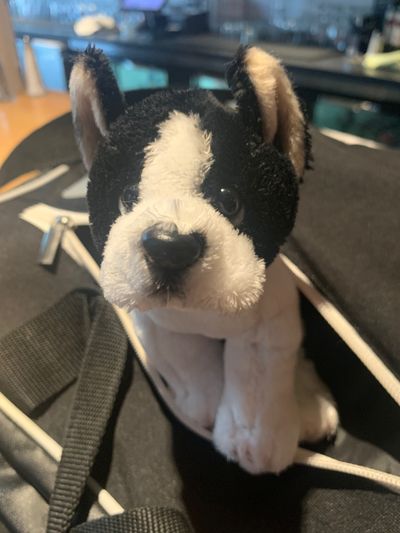 sweatpantsboy thumbnail