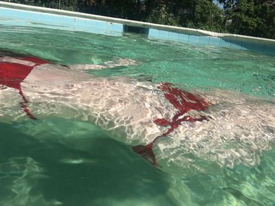 Sevrin jade thumbnail