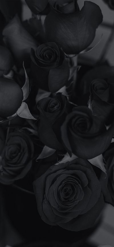 therealdavyjones thumbnail