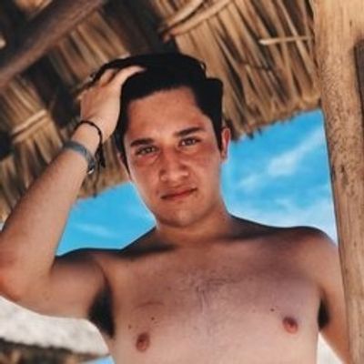 sebastianhersa profile