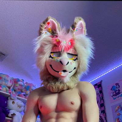 angelpubby thumbnail