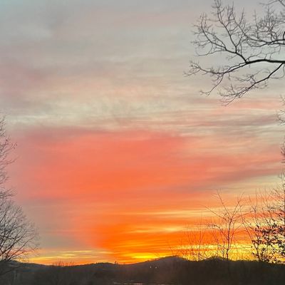 wildflowergurl thumbnail