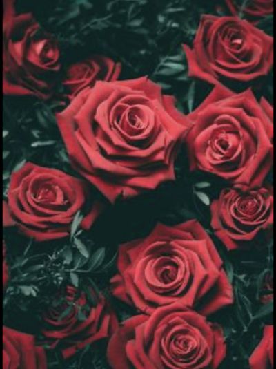 pretty_miss089 thumbnail