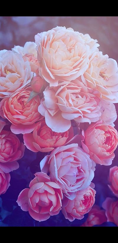 Magen Reese thumbnail