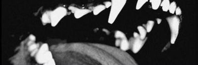 diabloodon thumbnail