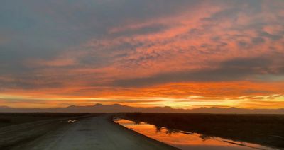 carolinakowboi thumbnail