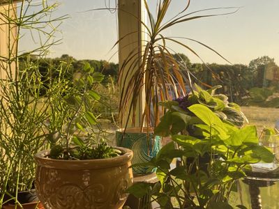 josh_twink thumbnail