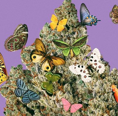 babyscorpio444 thumbnail