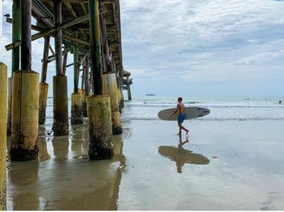 gators2015 thumbnail