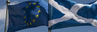 hnelke1973 thumbnail