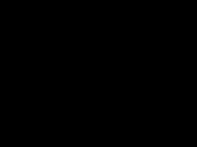 saharamooree profile