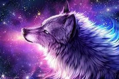 mysteryfiend profile