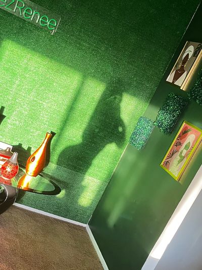 reneesworld thumbnail