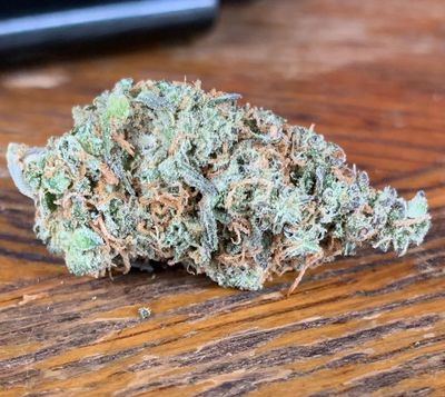 shamelesslittle profile