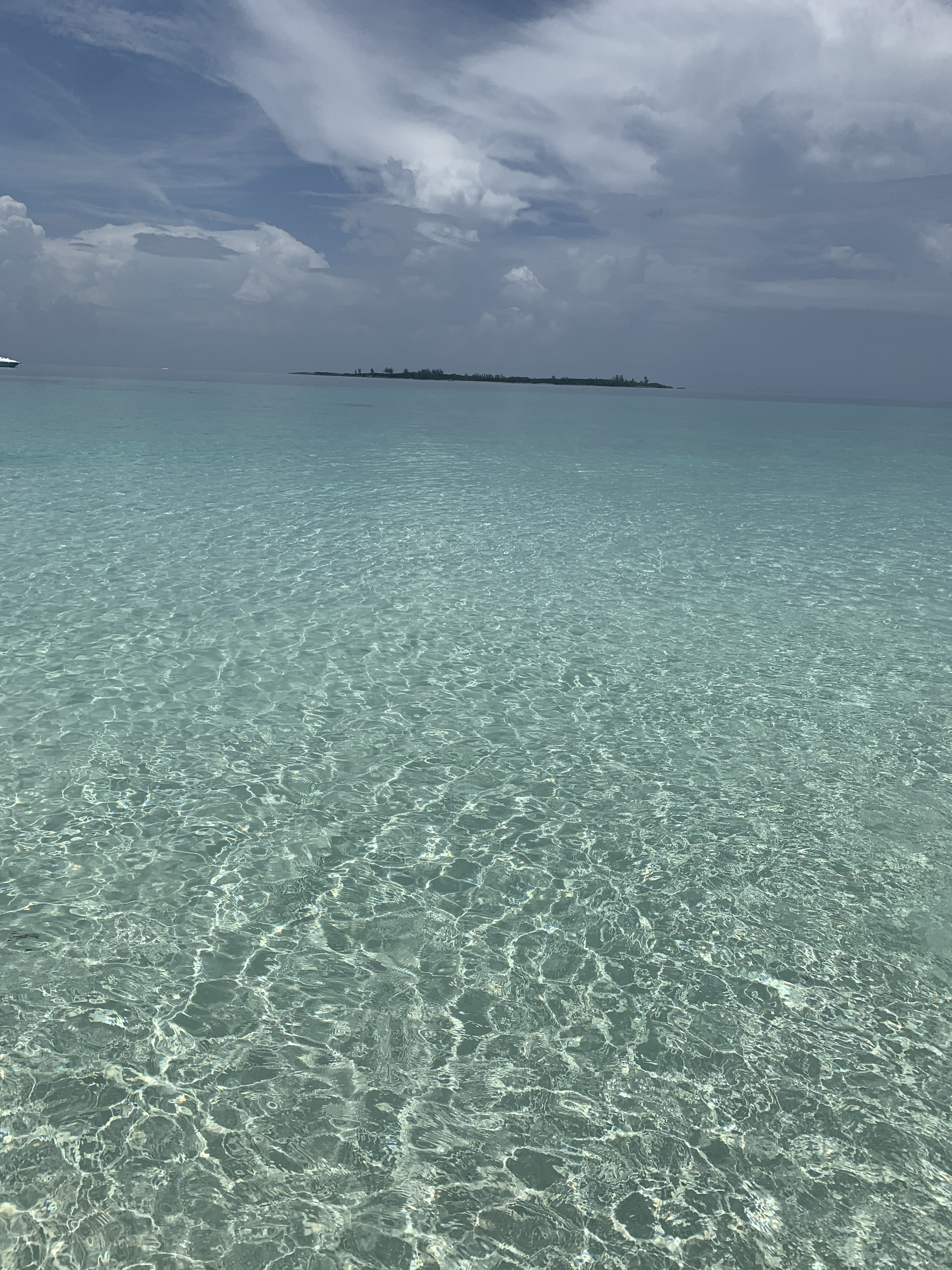 costaricanpapii thumbnail