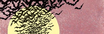 rickysuavy thumbnail