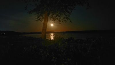 MrDreamCumTru81 thumbnail