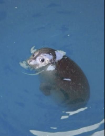 kuba-evans thumbnail