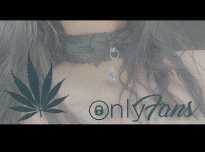 mydigitalpawprint thumbnail