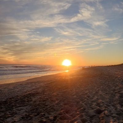 nightowl444 thumbnail