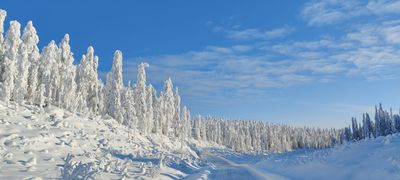 blazingdonna thumbnail