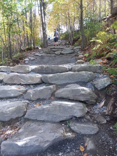 shawnsedge thumbnail