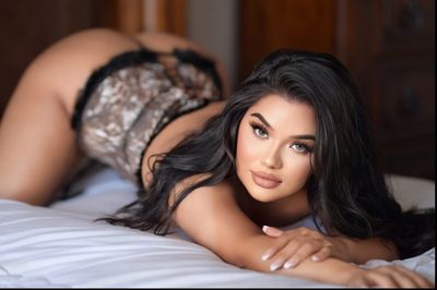 paloma.vxo thumbnail