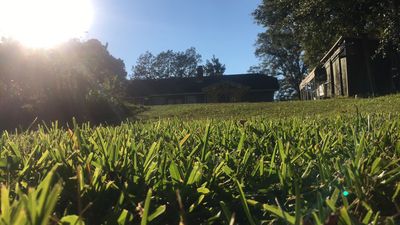 luthario302 thumbnail