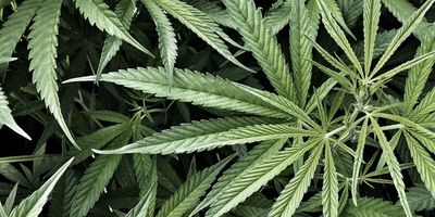 feetfeetfeet124 thumbnail