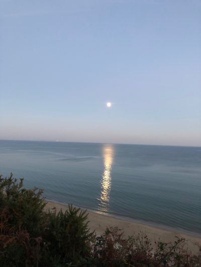 mattandtatts thumbnail