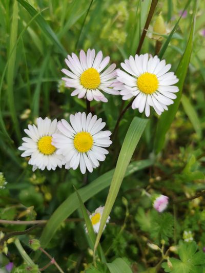 bepositive_lenny thumbnail