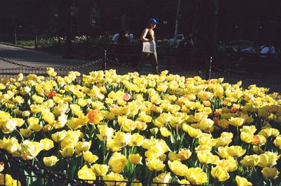 imhotforteacher thumbnail