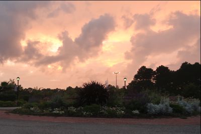 joy.elizabeth thumbnail