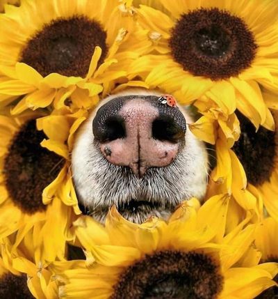 u245464978 thumbnail