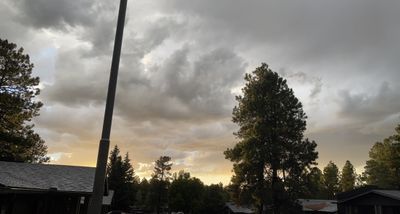 harley.hail thumbnail